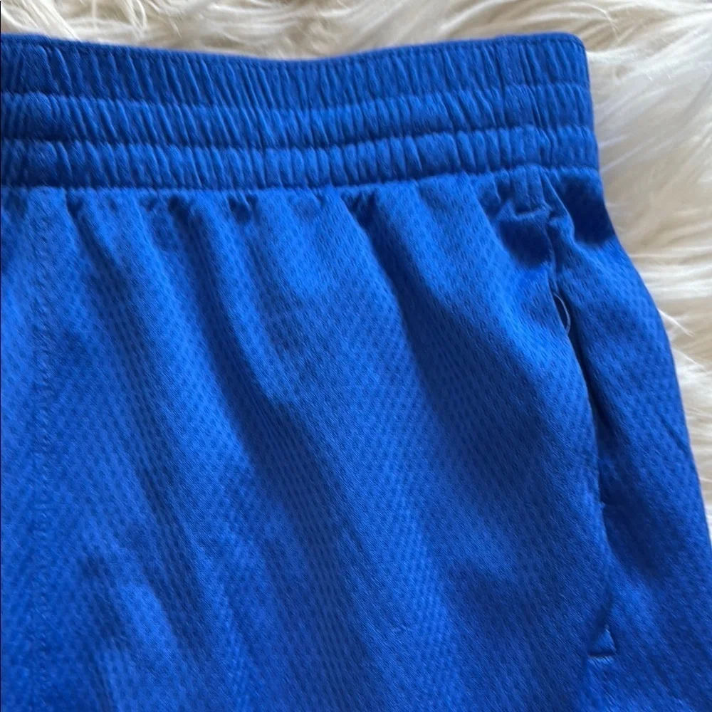 Nike Royal Blue Training Shorts